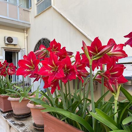 דירות נאפולי Il Giglio Rosso מראה חיצוני תמונה